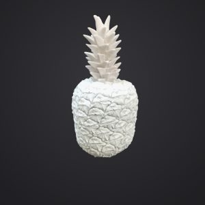 ANANAS 23*12*12
