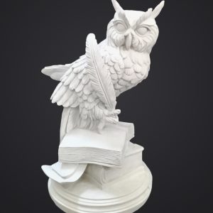 BAYKUŞ KİTAP ÜSTÜNDE 45*30*30
