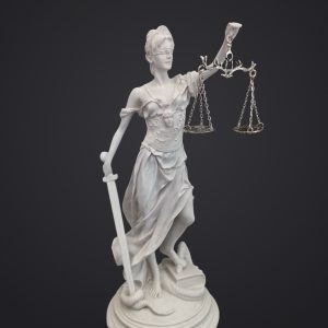 Ürün girişi yapınız 14