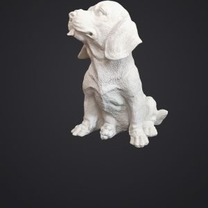 KÖPEK ORTA BOY 24*16*20
