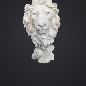 ASLAN BÜST 32*19*16